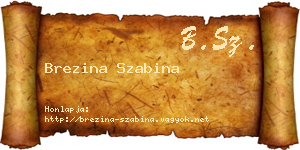 Brezina Szabina névjegykártya